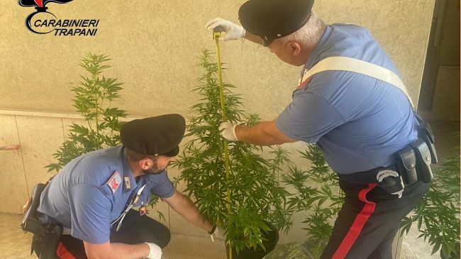 Castelvetrano, coltivazione casalinga di marijuana. Arrestato un 57enne