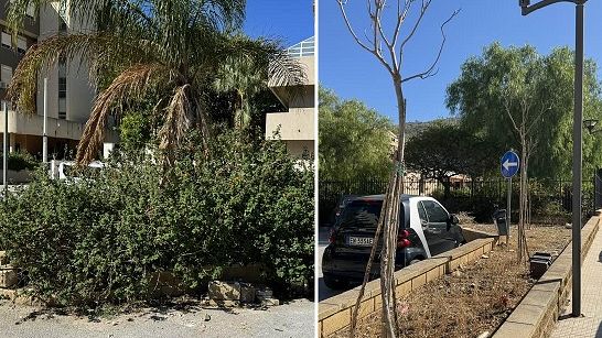 ​Erice, degrado nel parcheggio di via Cosenza tra erbacce, alberi morti e muretti distrutti