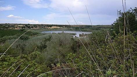 “World Wetlands Day 2014”. Domani visita guidata alla Riserva Lago Preola e Gorghi Tondi