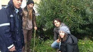 Randagio rischia di morire avvelenato, salvato soltanto grazie a  cittadini volontari