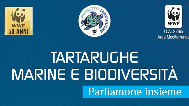 ‘Parliamone insieme’: incontro tematico sulle tartarughe marine a Castelvetrano