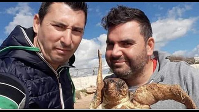 Castelvetrano, due giovani salvano da morte certa una tartaruga marina sulla spiaggia di Triscina