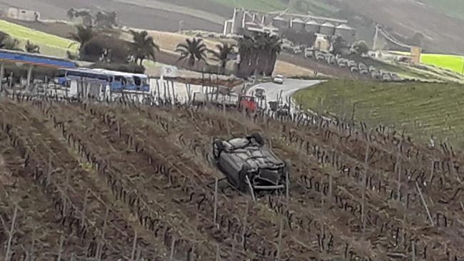 Auto si ribalta e finisce in mezzo ad un vigneto. Sul posto la Polizia Municipale
