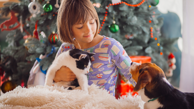 ​Un tenero dono di natale