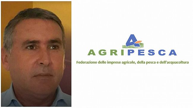 Nicola Giacalone (Agripesca) “serve rivoluzione per la pesca del gambero rosso”