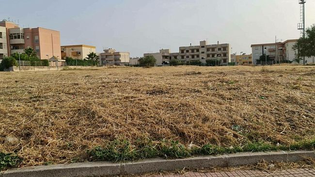 Paceco, al via servizio di scerbatura delle aree verdi e pulizia dei canali