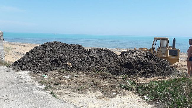 Spostamento alghe a Triscina, interviene Perricone