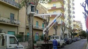 Marsala, Verde pubblico: nuovi interventi in via Sibilla