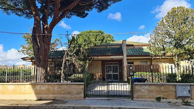 Paceco, avviata manutenzione degli alberi nel territorio comunale