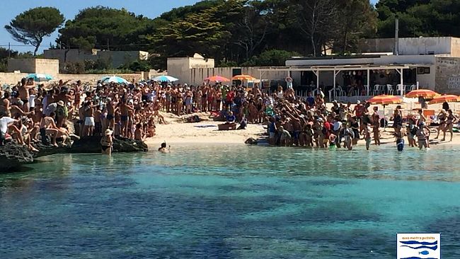Favignana, liberata Dian, primo esemplare di caretta caretta dotata di tag satellitare