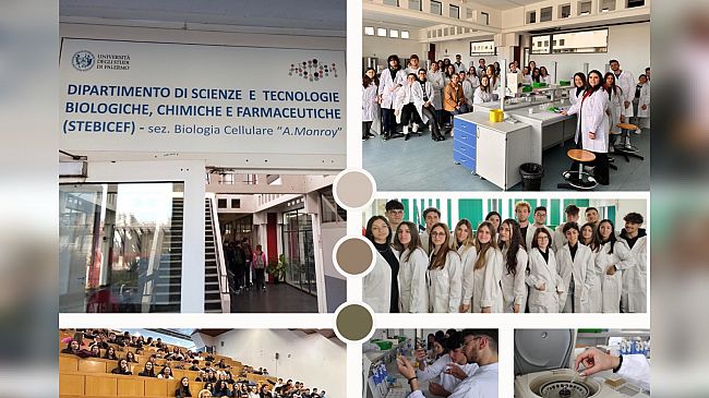 ​Mazara, entusiasmo, competenza e futuro per l'I.S. “R. D’Altavilla