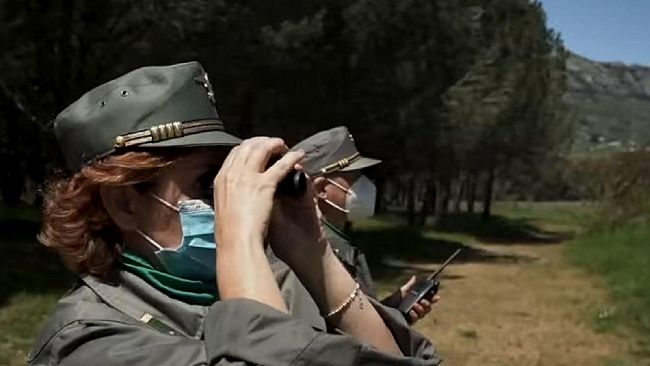 Campagna antincendio. Cordaro: 