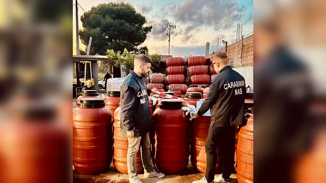 Controlli dei NAS di Palermo in provincia di Trapani, sequestrate 19 tonnellate di olive in Salamoia