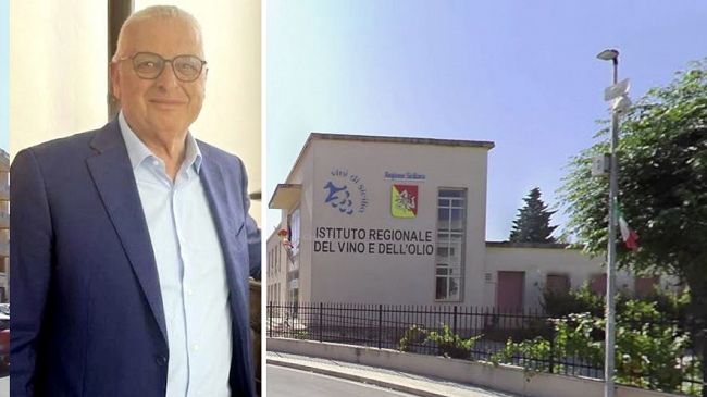 vinitaly-2026-enea-e-irvo-presentano-con-mario-ragusa-la-guida-al-risparmio-energetico