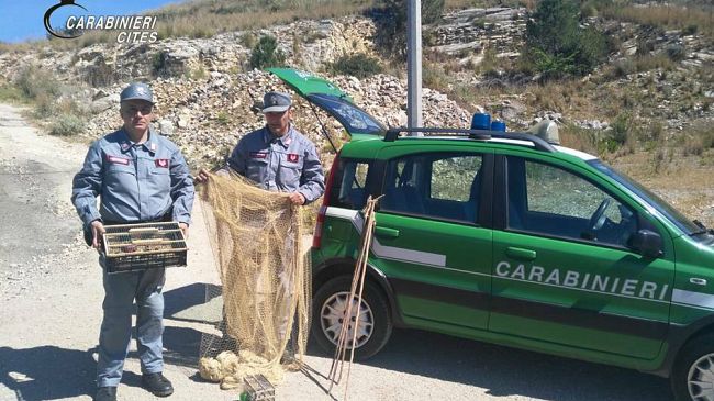 Arrestato per furto venatorio un bracconiere recidivo