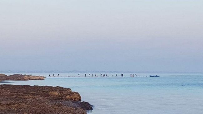 Mazara, sbarco notturno di migranti a Capo Feto: dileguati nelle campagne