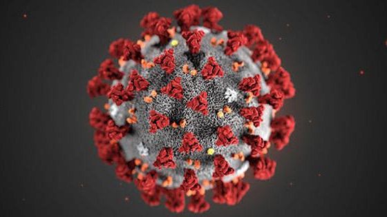 Coronavirus – impatto su imprese, la regione siciliana avvia un indagine