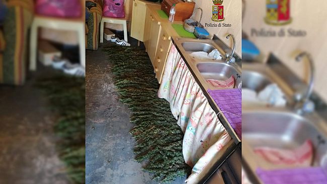 Maxi-sequestro di marijuana. La Polizia ad Alcamo sequestra 16 chilogrammi di marijuana ed arresta una coppia di coniugi