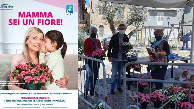 A Partanna le Azalee della ricerca
