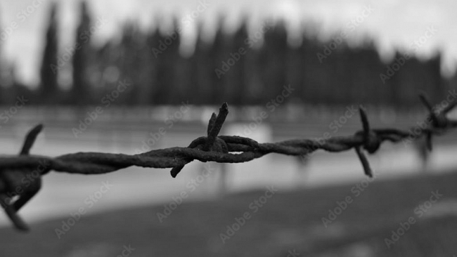 Meditate che questo è stato