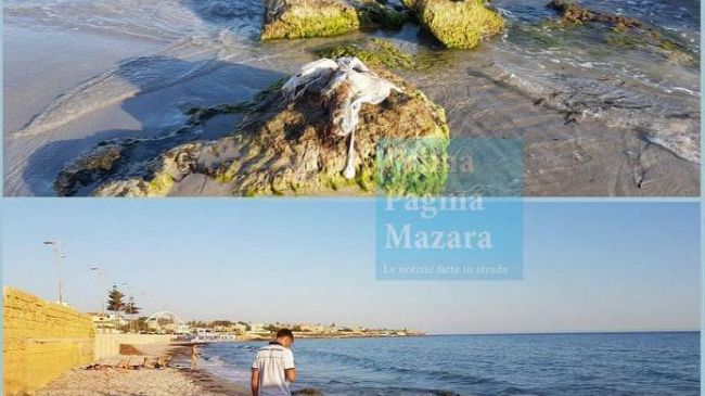 Mazara, ritrovamento interiora in mare a pochi metri dalla spiaggia. Sono resti umani o animali?