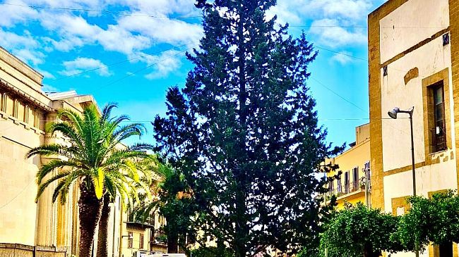 ​Il Primo Albero di Natale “Vero” per Castelvetrano