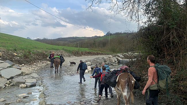 Pantelleria a Reggio Emilia per acquisire il modello di relazione con gli asini per una nuova offerta turistica 
