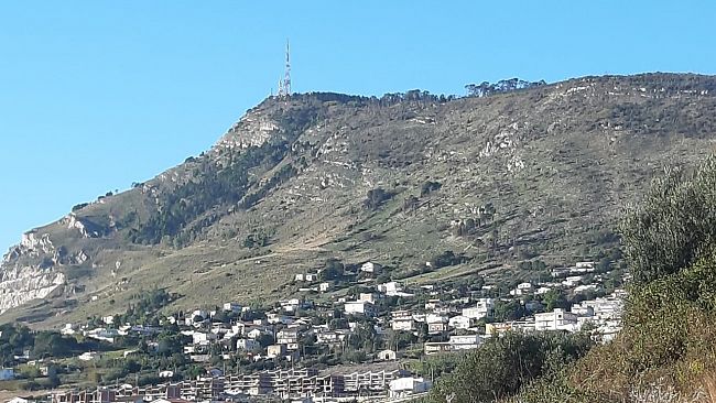 Alcamo. Muschio Ribelle denuncia mancanza di ascolto e trasparenza da parte delle istituzioni