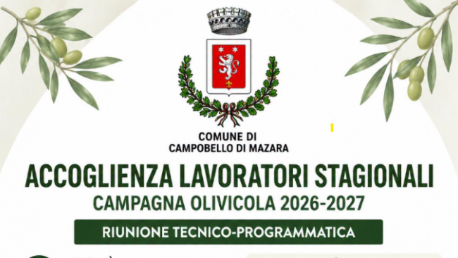 Campagna olivicola 2026/2027: appello del sindaco agli imprenditori agricoli di Campobello