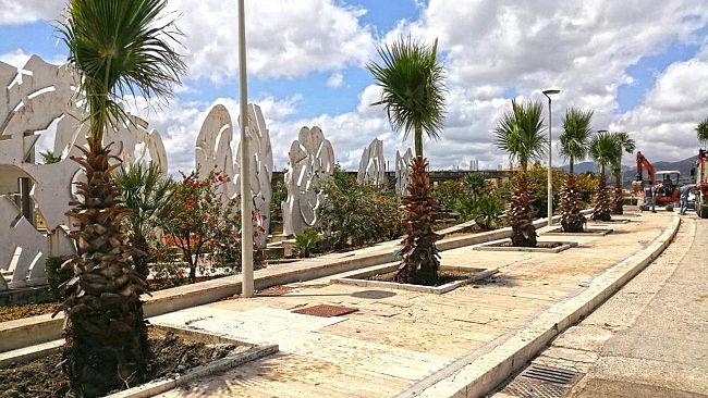 Decoro e arredo urbano: a Gibellina tornano le palme