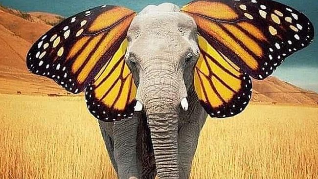 Al via un nuovo progetto di Primapagina: “Le parole per dirlo, un viaggio dentro il dolore cronico”