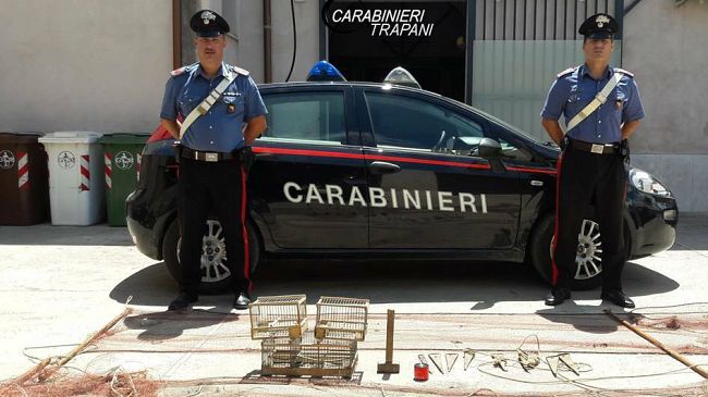 Paceco: 30enne denunciato dai Carabinieri per maltrattamento di animali