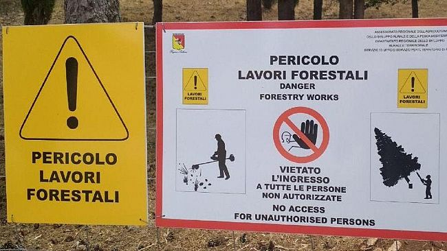 Un futuro di sogni infranti per gli operai Forestali siciliani