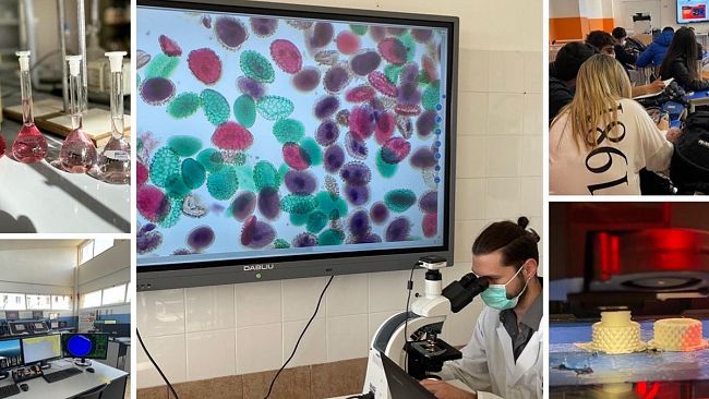 La Dirigente dell’I.S. “R. D’Altavilla” replica all'articolo del 29 novembre 