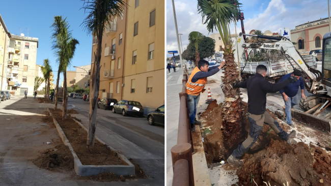 Mazara, verde pubblico: interventi nel lungomare e nel piazzale Europa