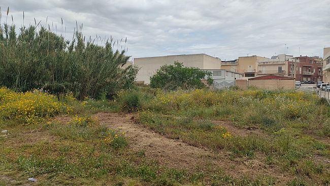 mazara-degrado-nella-zona-di-via-casa-santa-le-segnalazioni-dei-cittadini