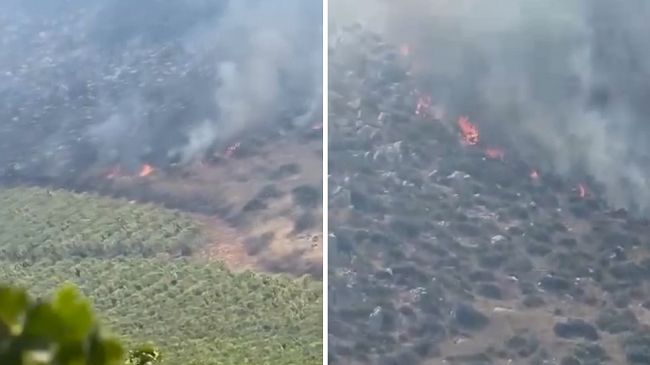 ​Incendi nel Trapanese, fiamme da Valderice a Buseto Palizzolo