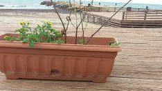 Al via i lavori per il rifacimento della piattaforma lignea di Marinella 