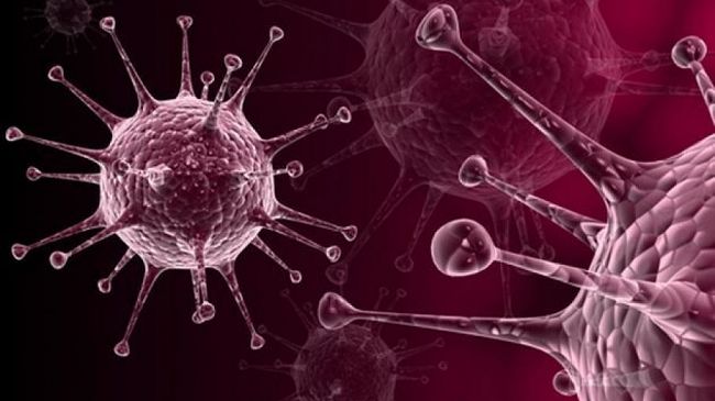 Danno biologico grave, ministero della salute condannato a risarcire 580.000 euro