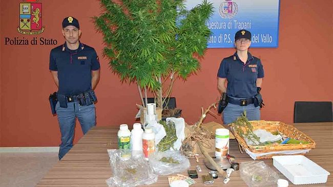 Arrestato mazarese per coltivazione di marijuana
