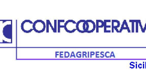 Nino Accetta (Fedagripesca Sicilia): “Bene l’impugnativa della Regione dei Decreti Direttoriali sul Tonno Rosso. Ma in futuro Ministero e Ue smettano di programmare con metodi da apprendisti stregoni”