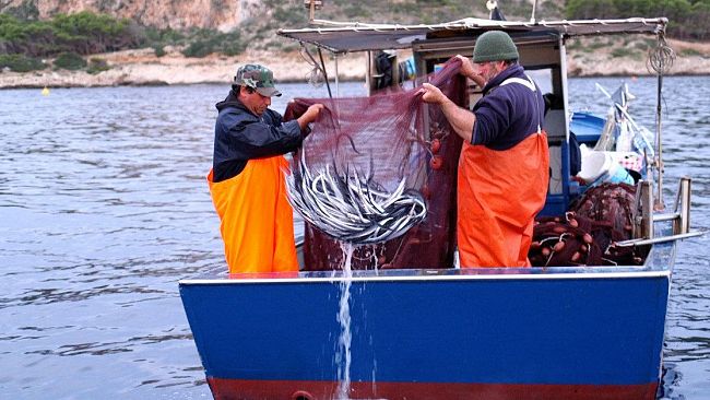 Trionfo di sapori con “L’augghia, pesce povero, ricchezza del Mediterraneo” a Favignana