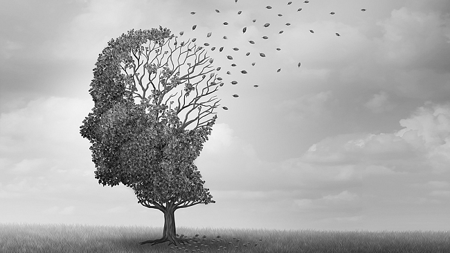 “Una punta di Sal”. La memoria, la politica, la morale. Nel frattempo oggi si vota per le “provinciali” di II livello