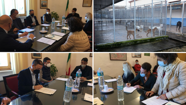 Mazara, al via la campagna straordinaria di sterilizzazione di cani randagi