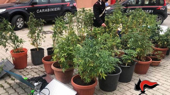 Pantelleria: coltivazione autindoor. Arrestato isolano dal pollice verde