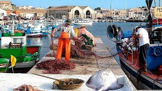 FAVIGNANA – Area marina protetta e Associazioni di pesca scrivono al Ministero chiedendo un’autorizzazione per la pesca sperimentale con il “tartarune” delle Egadi