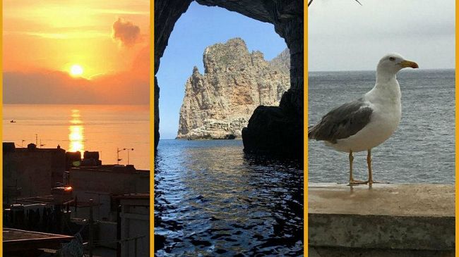 MARETTIMO – “Quasi” il convegno delle tre parole a Marettimo: generatività, contaminazione, connettività.