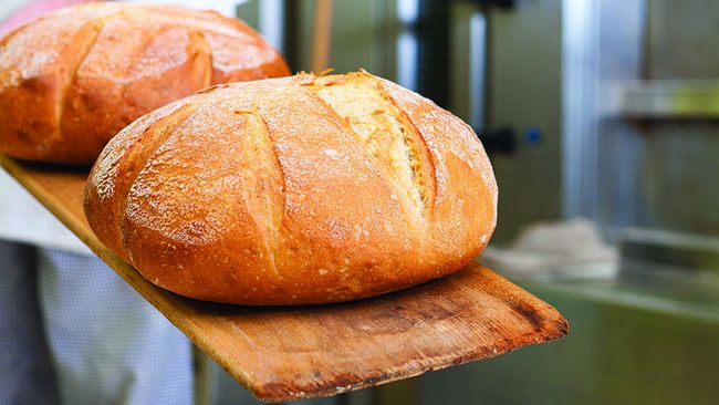 CNA Trapani contro Turano: «Grave l’assenza di un regolamento per la formazione professionale»