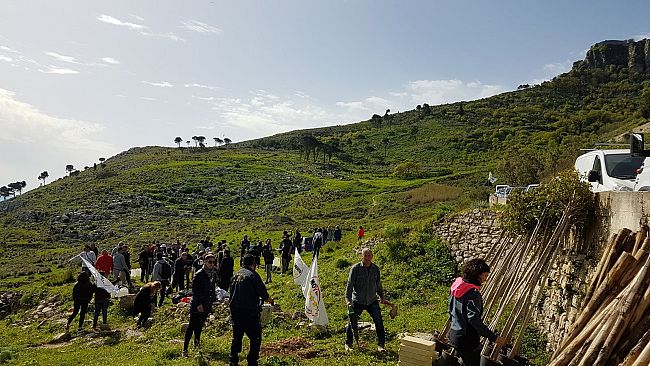Cinquanta Alberi per Erice. Nuovo verde messo a dimora per iniziativa del M5s.