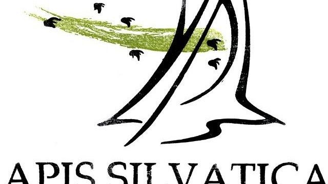 Pantelleria, Apis Selvatica: dal 16 al 20 maggio primo meeting internazionale 